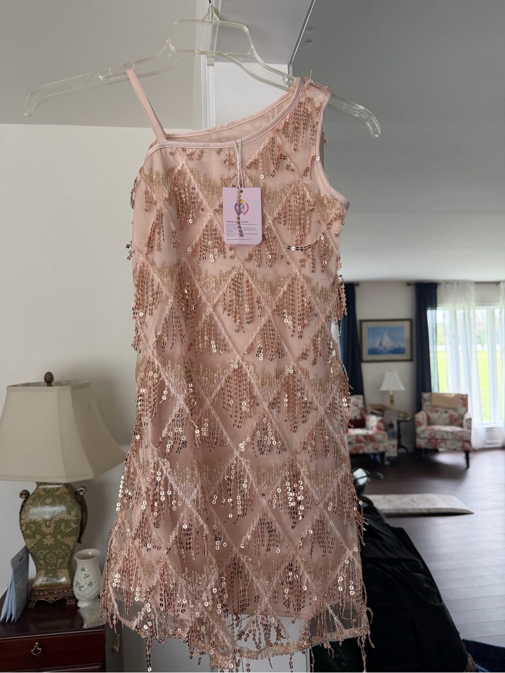 Sleeveless Blush Sequin Fringe Flapper Style Dress NWT- Little Girl size 10